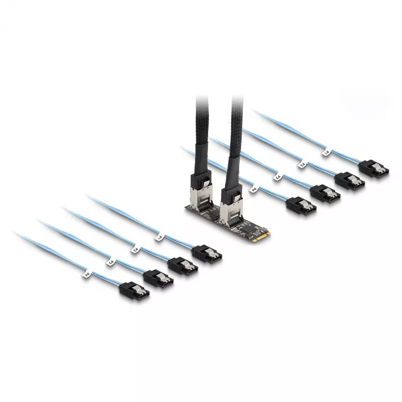 Convertitore DeLOCK M.2 2280 Key B+M maschio su 8 x SATA