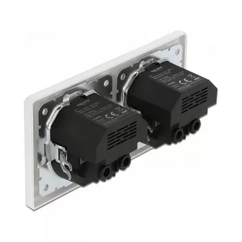 Presa a muro DeLOCK 2 vie con 4 porte USB 2 x 2,8 A
