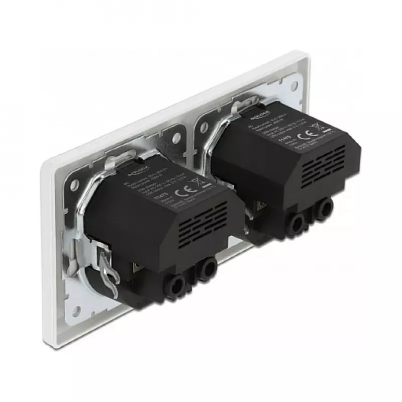 Presa a muro DeLOCK 2 vie con 4 porte USB 2 x 2,8 A