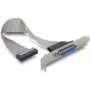 DeLOCK 84300 staffa per porta parallela, DB25 – IDC a 26 pin, 22 cm