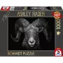 Ashley Rader: Dominance - Widder, Im Zeichen des Feuers, puzzle 1000 pezzi