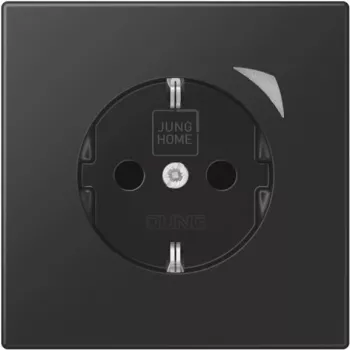 Jung HOME SCHUKO BTLS1521SSWM presa 1 (BTLS1521SSWM)