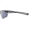 Alpina Nylos HR occhiali da sole Cat. 3 grigio