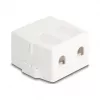 Delock 85843 Custodia Keystone vuota, 2 porte, con base magnetica, bianco