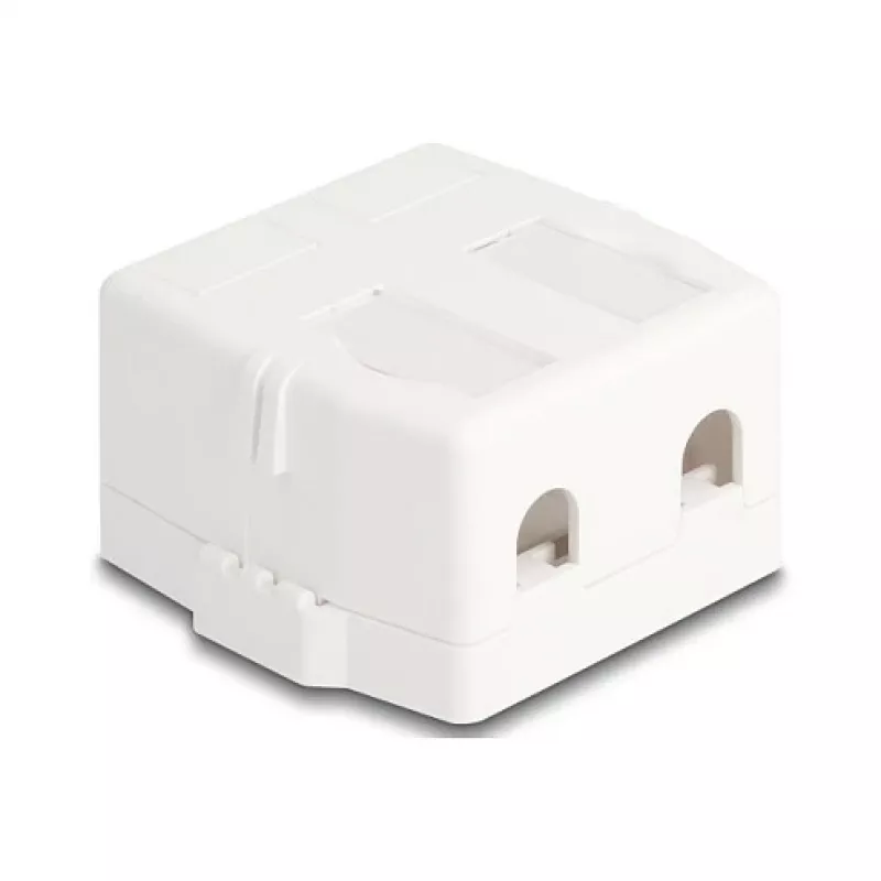 Delock 85843 Custodia Keystone vuota, 2 porte, con base magnetica, bianco