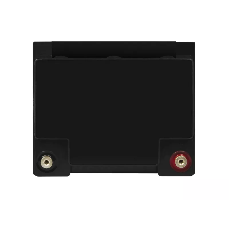 Green Cell AGM23 batteria per UPS piombo-acido AGM (VRLA) 12 V 44 Ah