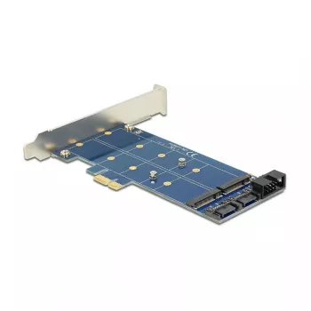 DeLOCK 89374 scheda PCI Express x1 a 2x M.2 NGFF interni