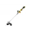 DeWALT DCMST561P1-QW rasaerba