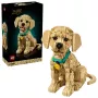 LEGO ICONS 11384 Cucciolo di golden retriever