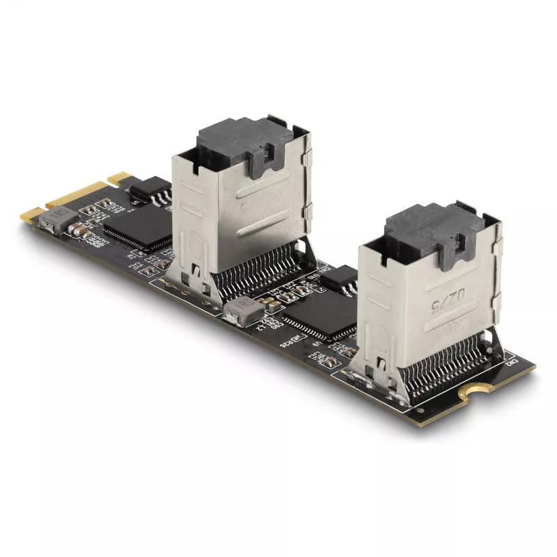 Convertitore DeLOCK M.2 2280 Key B+M maschio su 8 x SATA