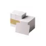 Scheda PVC Zebra Premier, 30 mil, banda magnetica a bassa coercitività (5 confezioni da 100)