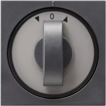 GIRA 066628 Placca a parete/copertura interruttore antracite (066628)