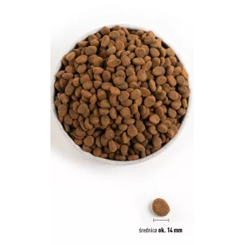 Orijen Regional Red 2 kg adulto manzo, agnello, maiale