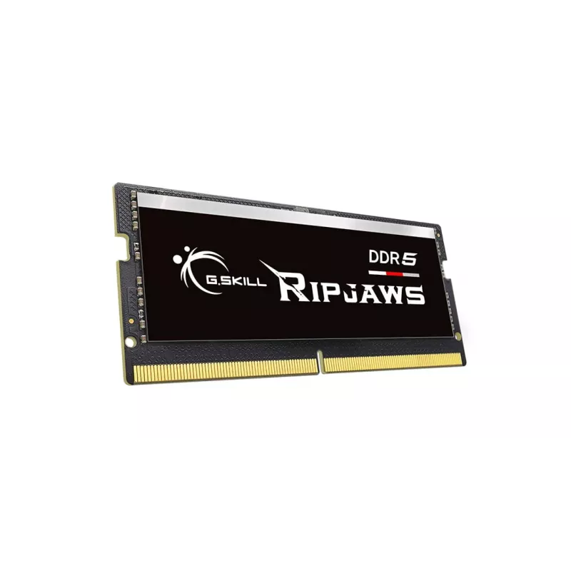 G.Skill Ripjaws F5-4800S4039A16GX1-RS modulo di memoria 16 GB 1 x 16 GB DDR5 4800 MHz