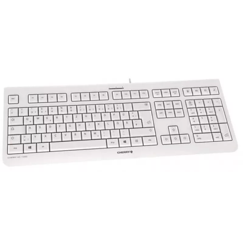 Tastiera CHERRY KC 1000 home USB layout svizzero grigio