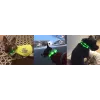 Collare LED Anicoll verde per cani e gatti modello illuminazione ricaricabile