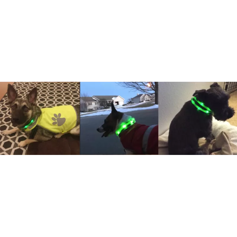 Collare LED Anicoll verde per cani e gatti modello illuminazione ricaricabile