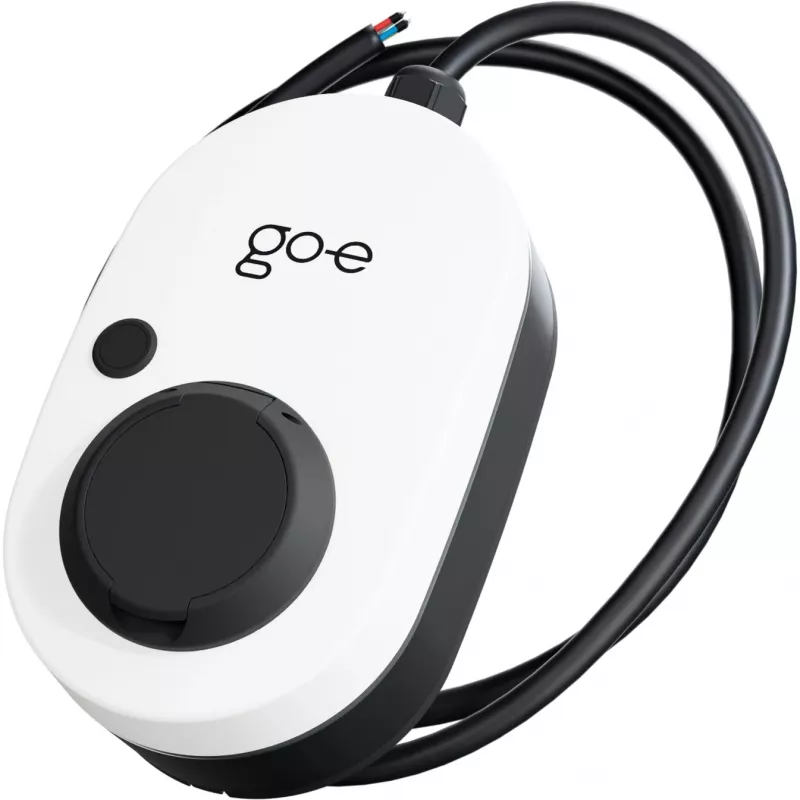 Go-e CH-04-11-51 adattatore di rete bianco