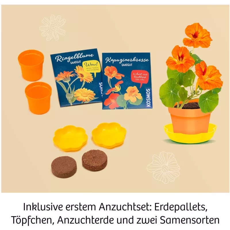Kosmos Blumenpresse kit sperimentale