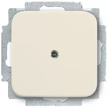 BUSCH-JAEGER copertura cieca 2538-212 Duro 2000 SI anello di supporto bianco 2538-212 (1715-0-0218)