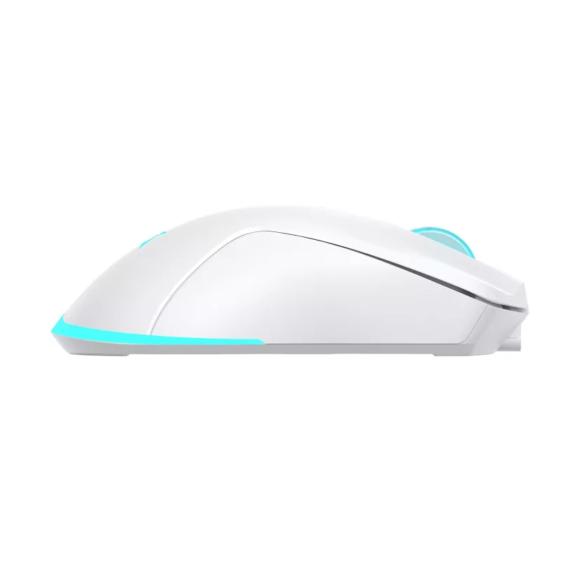 Mouse Baracuda BGM-122 Turtle bianco TURTLE-W