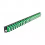 Pannello frontale per scatola di giunzione DeLOCK 19 pollici 43370 24 porte LC quad verde