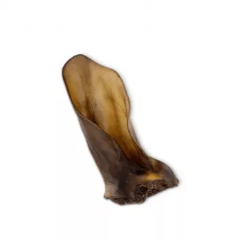 Articolo da masticare per cani UNISZKI Medium orecchio di manzo — singolo articolo da masticare naturale per cani di taglia media e adulti, proteine 75,8 %, umidità 14,9 %