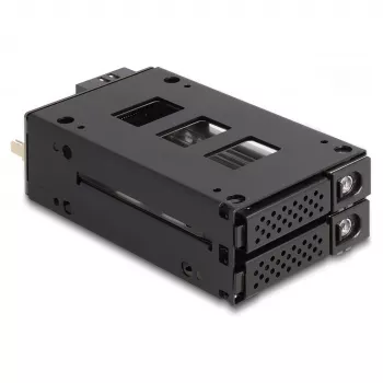 Delock - Rack di memoria mobile - vano sottile - da 5,25 a 2 x 2,5 (da 13,3 cm a 2 x 6,4 cm) - nero (47019)