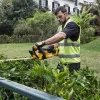 Tagliasiepi a batteria DeWALT DCM563P1-QW