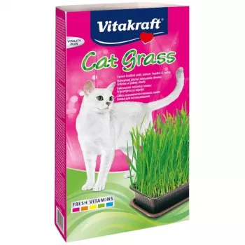 Set erba gatta Vitakraft 120 g – set di erba commestibile per gatti, senza glutine, senza conservanti