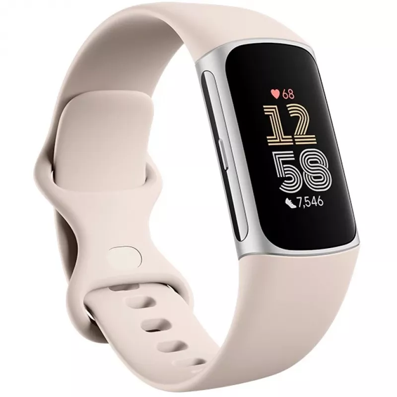 Fitbit GA05185-EU Prodotto argento