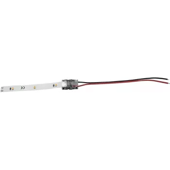Eurolite 50530062 connettore di alimentazione per strip LED, 2 poli, 8 mm