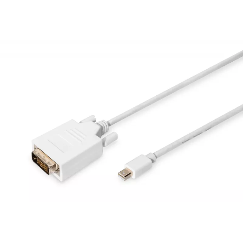 DIGITUS ASSMANN - cavo adattatore - Mini DisplayPort (M)