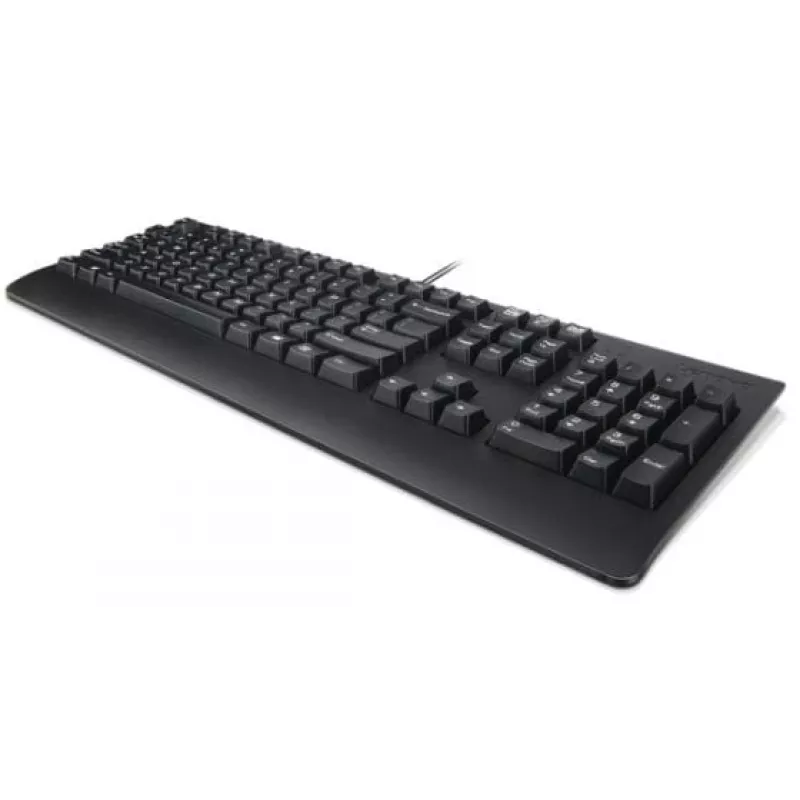 Tastiera USB QWERTY Lenovo Preferred Pro II, rumena, nera
