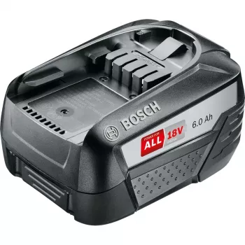 Bosch 1600A00DD7 batteria