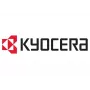 Unità sviluppatore KYOCERA DV-5230Y 100000 pagine