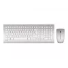 CHERRY DW 8000 tastiera mouse inclusi ufficio RF wireless francese argento, bianco