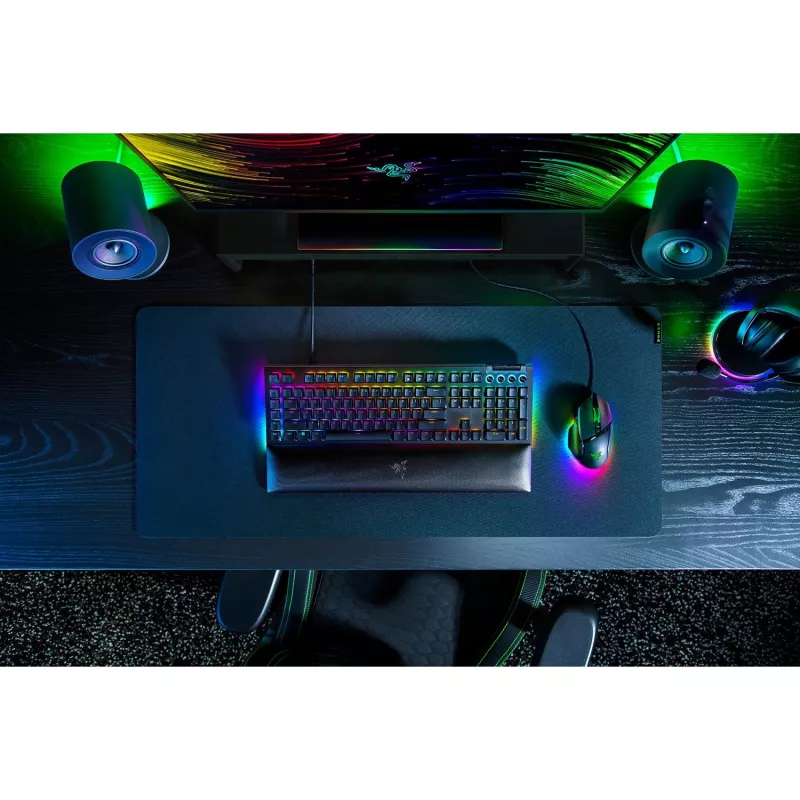Razer BlackWidow V4 tastiera – USB-C, QWERTZ