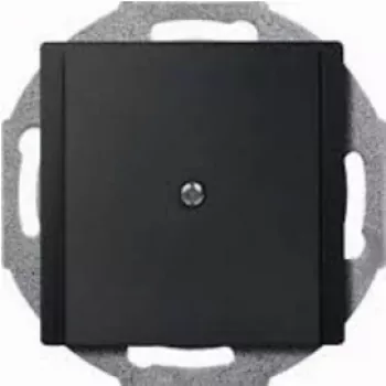 Merten 295614 placca a parete/copri interruttore antracite (295614)