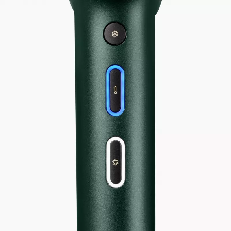 BaByliss Air Power Pro Asciugacapelli 1700 W oro, verde