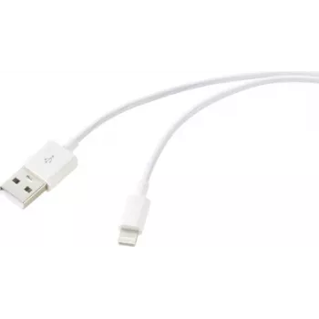 Renkforce Cavo USB USB 2.0 connettore maschio USB-A, connettore maschio Apple Lightning 1,00 m bianco RF-6857548 (RF-6857548)