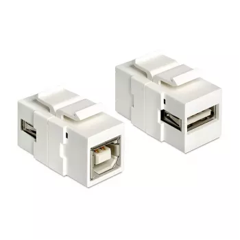 Modulo Keystone DeLOCK 86320