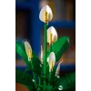 LEGO BOTANICALS 11504 Giglio della pace