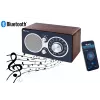Radio Eltra CZAJKA Modello Bluetooth — radio portatile con connettività Bluetooth