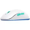 Mouse da gaming CHERRY XTRFY M8