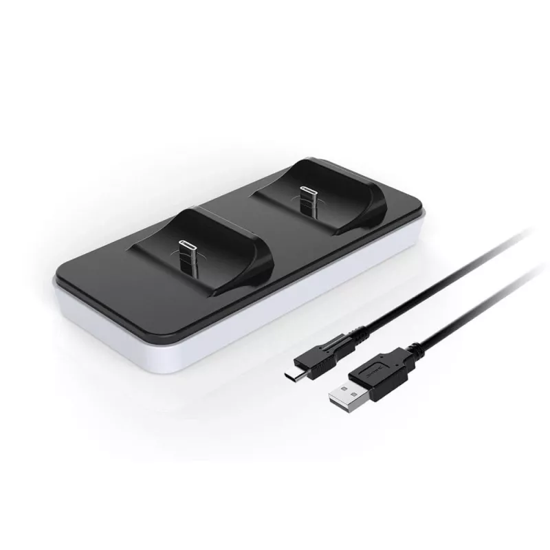 Raptor CS200-LT, interno, USB, nero, bianco