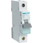 Hager MBN132 interruttore automatico (MBN132)