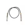 Cisco QSFP-100G-CU1M= cavo InfiniBand/fibra ottica 1 m