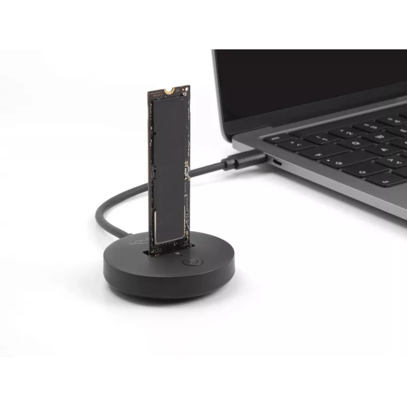 Docking station M.2 DeLOCK 64254 USB 3.2 Gen 1 Type-C NVMe SATA