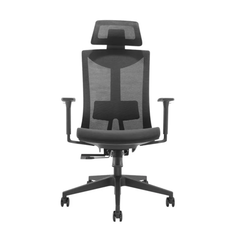 Sedia ergonomica premium Ergo Officer ER-414